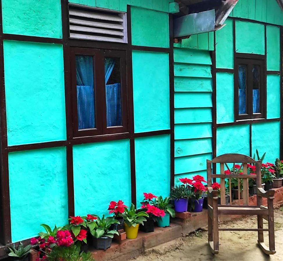 Live In Nature Darjeeling  Exteriör bild